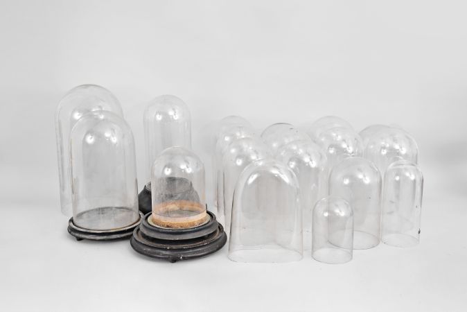 Glass domes- 18 (Eighteen): Glass domes, one oval with the rest being round, two with associated wood bases. The lot comes with two additional round wood bases.